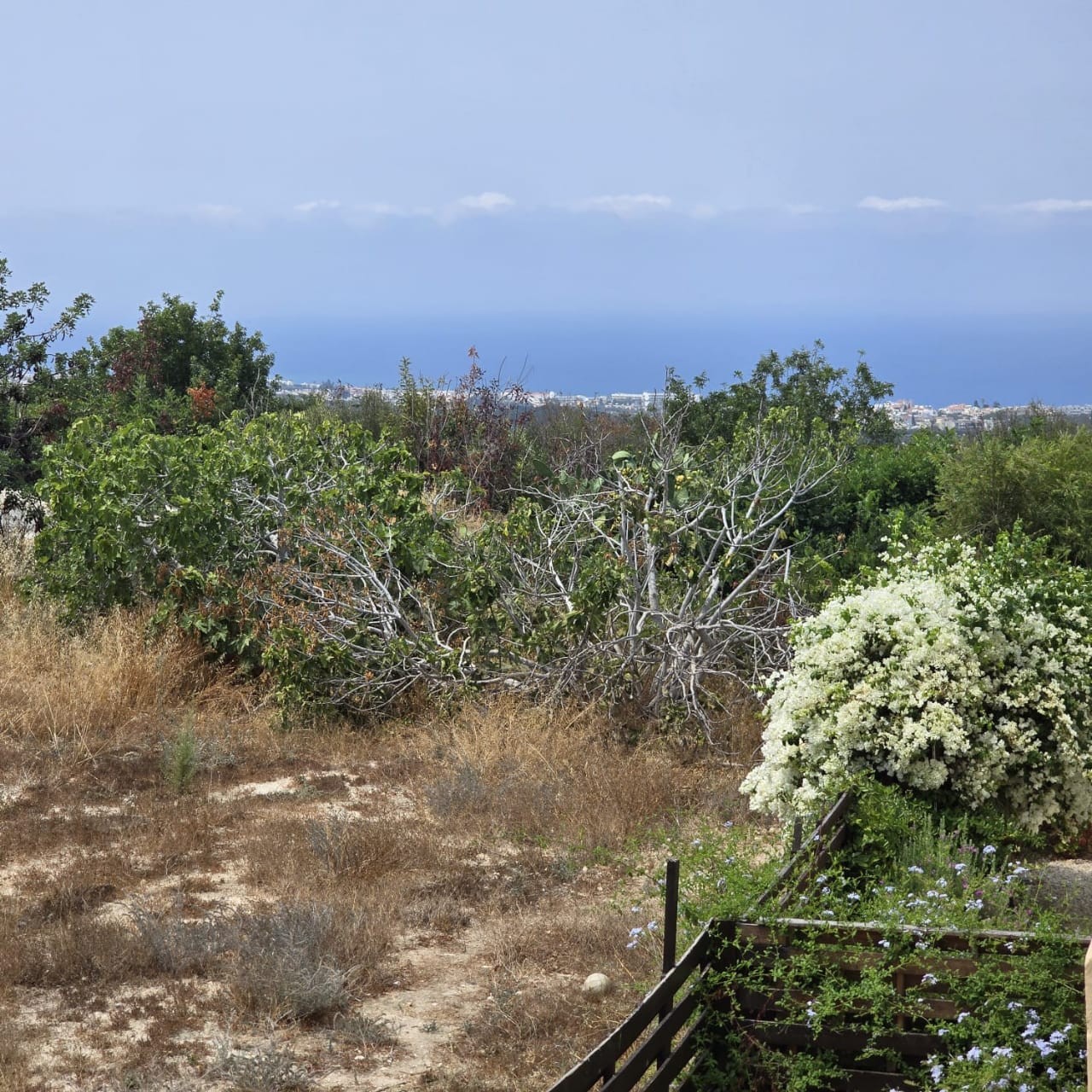 Appartement à Paphos, Chypre, 85 m² - image 11