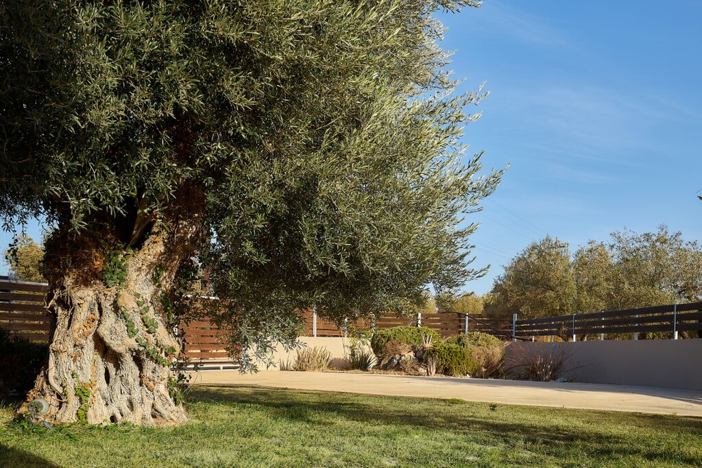 Villa in Heraklion, Greece, 120 m² - picture 5