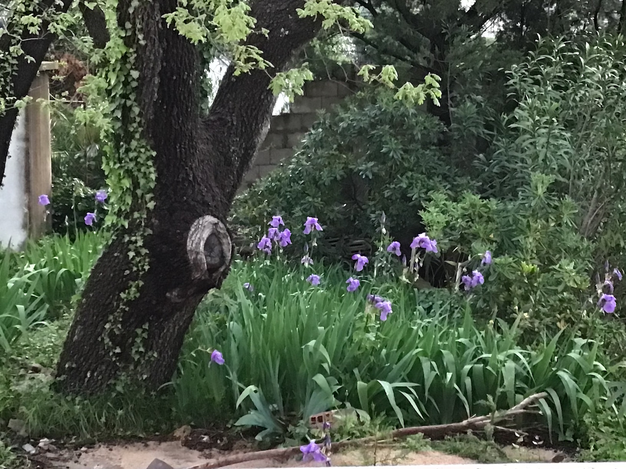 Casa a Bar, Montenegro, 260 m² - foto 2