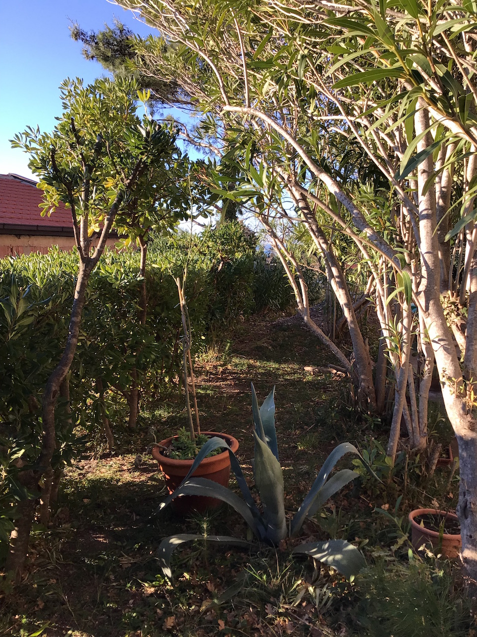 Casa a Bar, Montenegro, 260 m² - foto 4