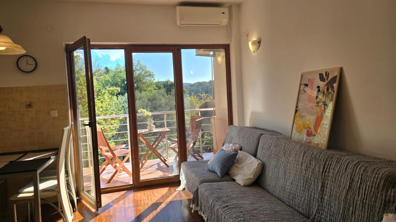 Piso en Petrovac, Montenegro, 46 m² - imagen 4