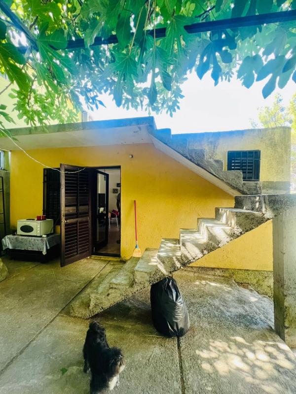 House Zeleni Pojas, Montenegro, 80 m² - picture 6