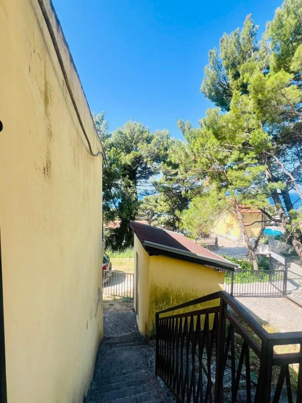 House Zeleni Pojas, Montenegro, 80 m² - picture 12