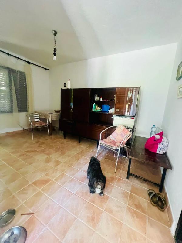 House Zeleni Pojas, Montenegro, 80 m² - picture 13