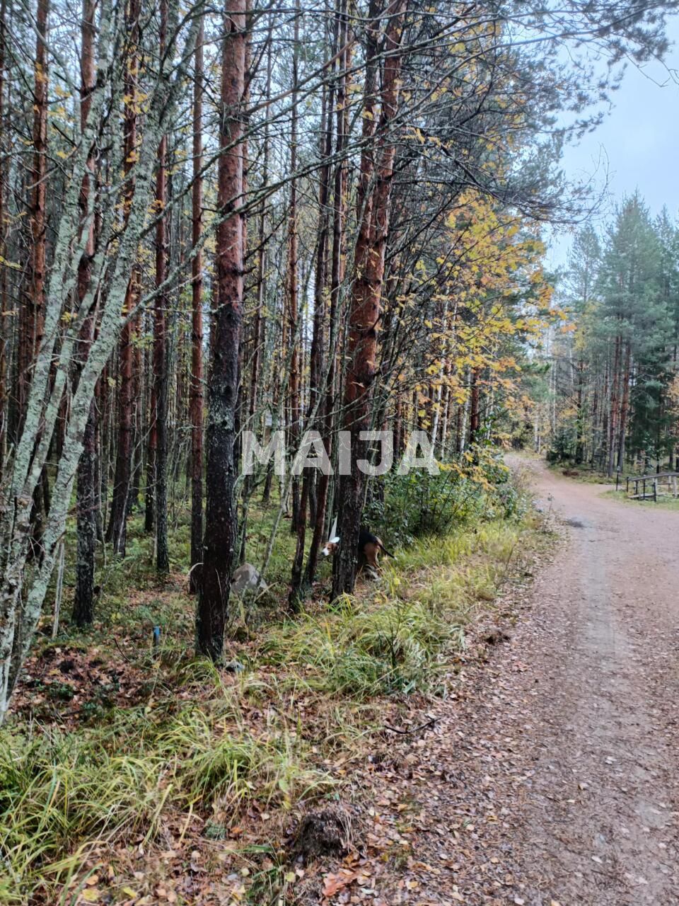 Terreno a Mantyharju, Finlandia, 8 330 m2 - foto 1