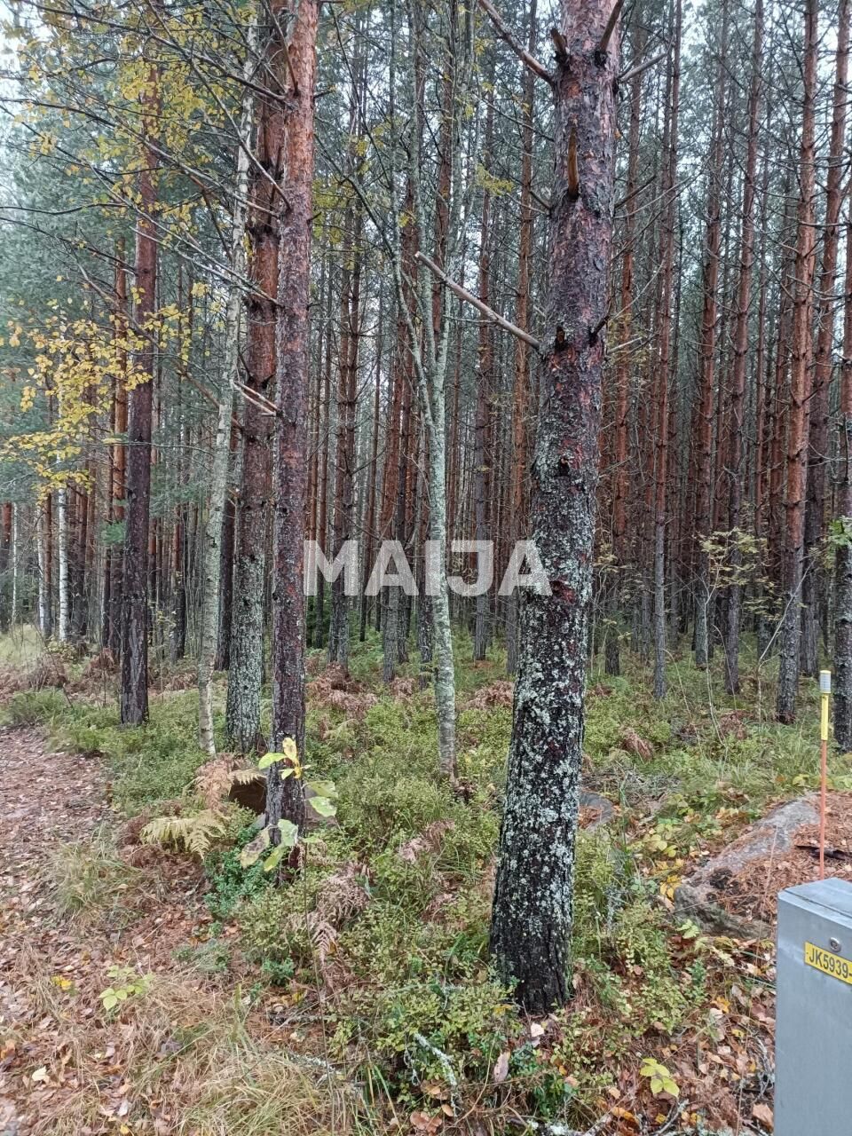 Terreno a Mantyharju, Finlandia, 8 330 m2 - foto 3