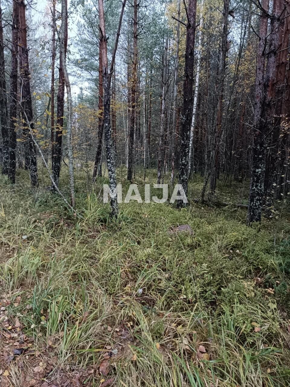 Terreno a Mantyharju, Finlandia, 8 330 m2 - foto 5