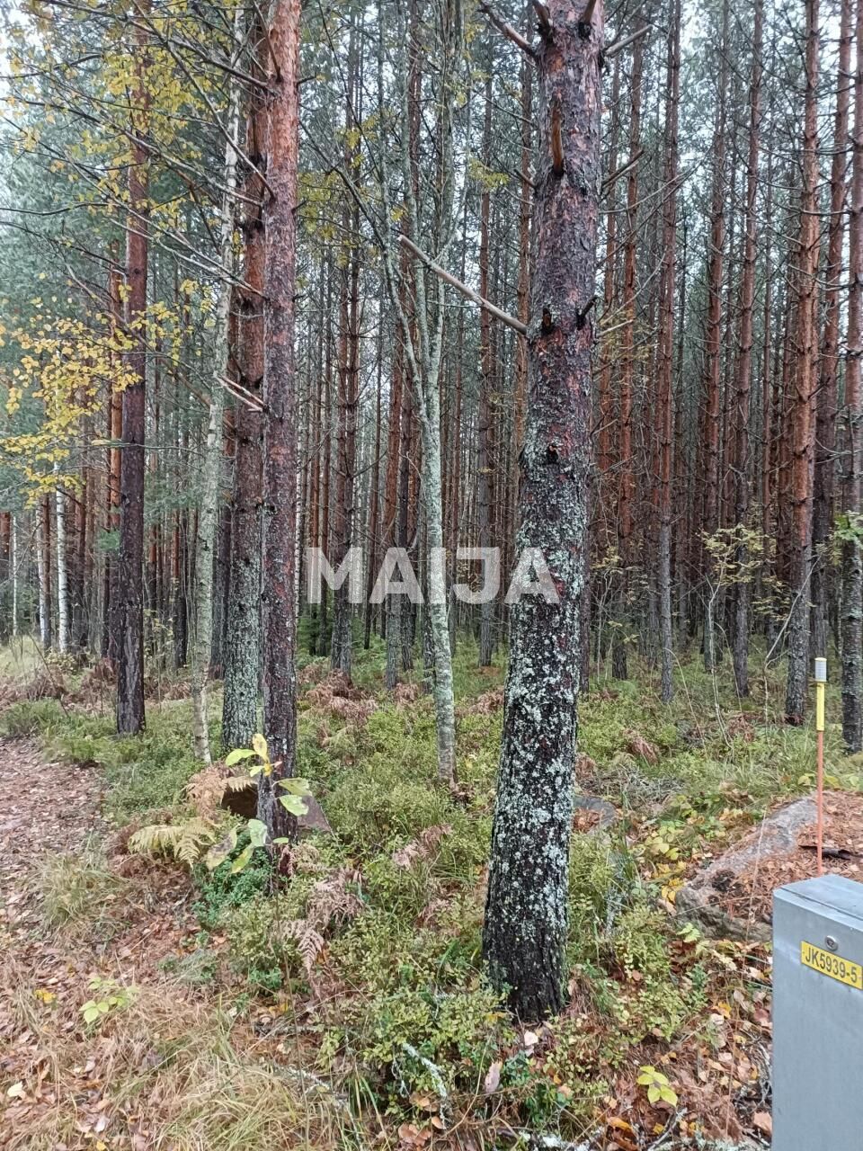 Terreno a Mantyharju, Finlandia, 8 330 m2 - foto 6
