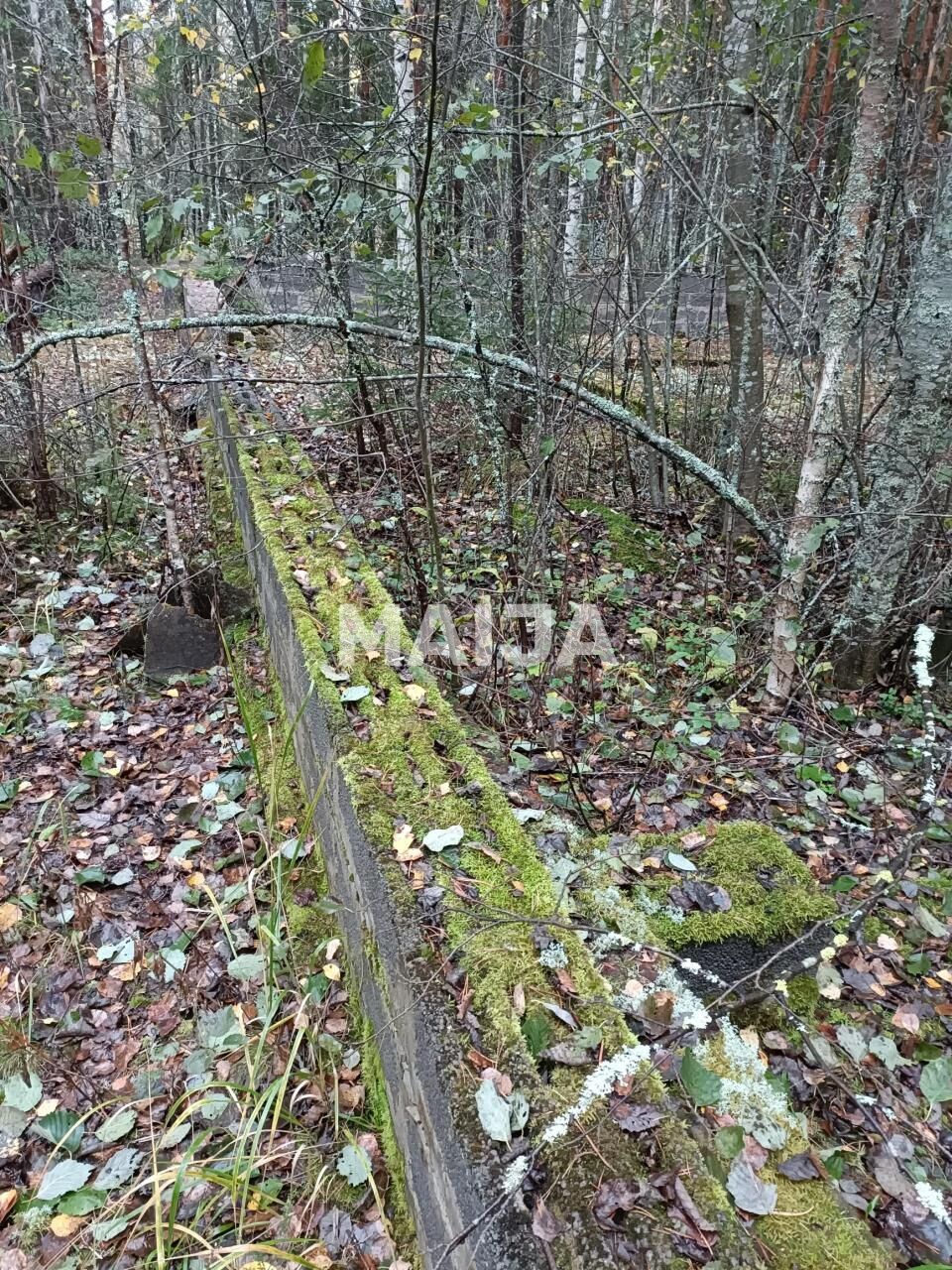 Terreno a Mantyharju, Finlandia, 8 330 m2 - foto 9