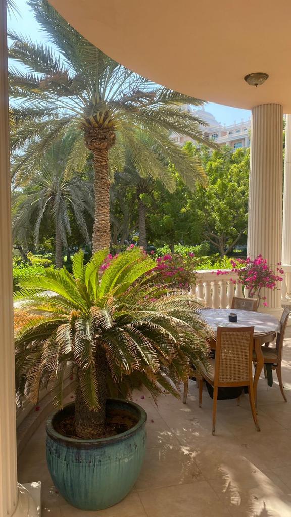 Villa a Dubai, EAU, 631.55 m² - foto 10