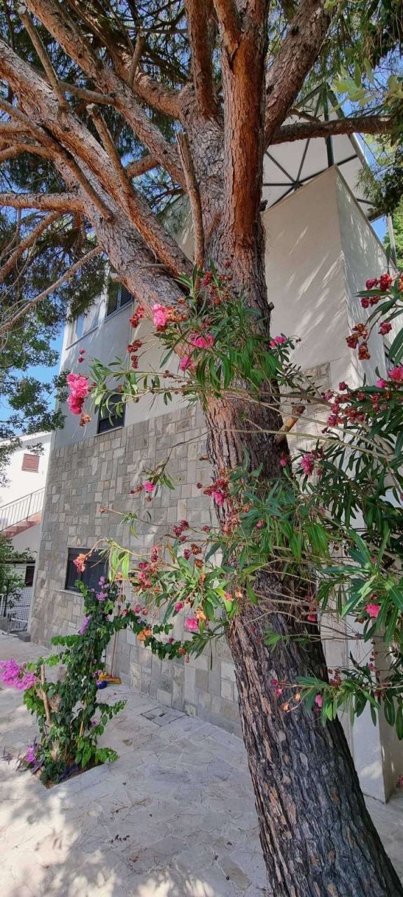 Villa en el Bar, Montenegro, 175 m² - imagen 15