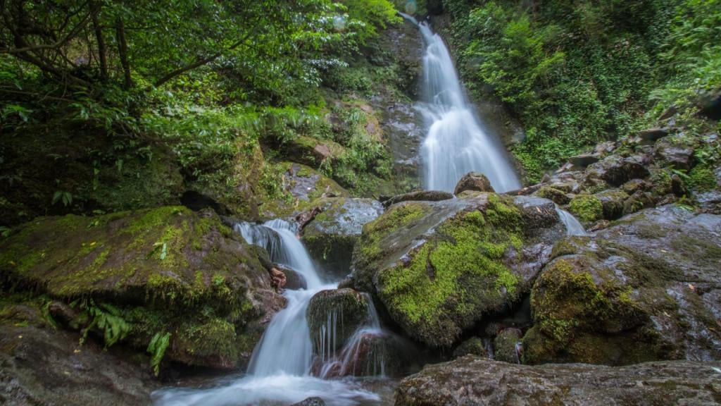 Cottage in Batumi, Georgia, 152 m² - picture 18