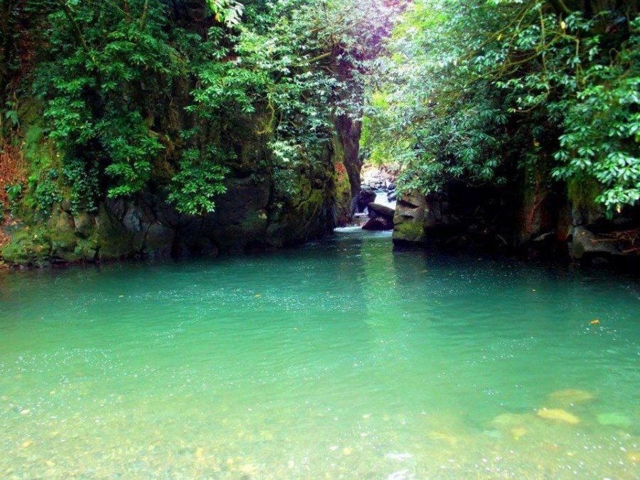 Cottage in Batumi, Georgia, 152 m² - picture 17