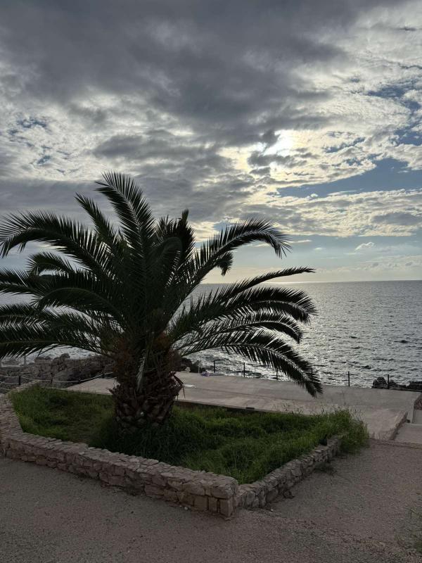 Terreno a Dobra Voda, Montenegro, 400 m2 - foto 3