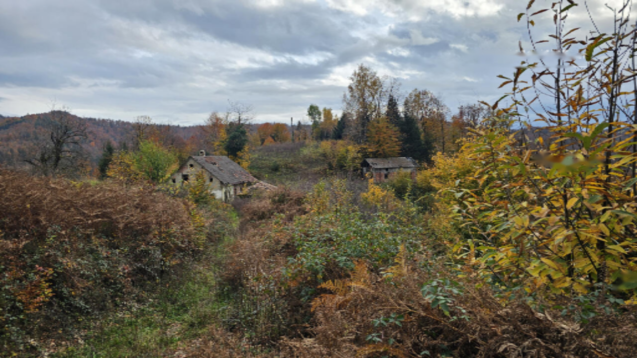 Azienda agricola a Skofljica, Slovenia, 25 000 m2 - foto 2