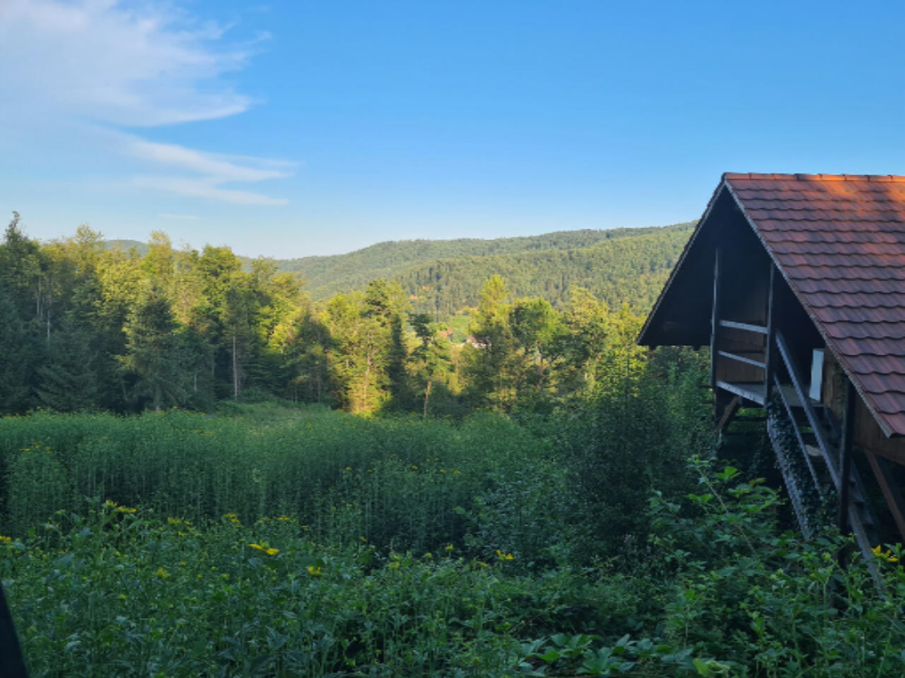 Azienda agricola a Skofljica, Slovenia, 25 000 m2 - foto 3