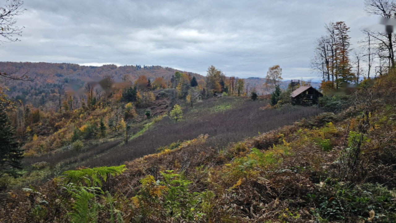 Azienda agricola a Skofljica, Slovenia, 25 000 m2 - foto 7