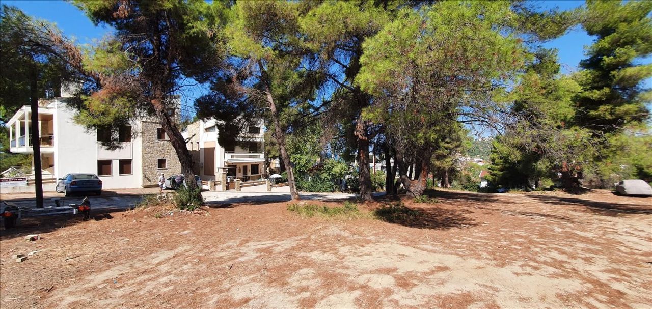 Grundstück in Kassandra, Griechenland, 5 200 m² - Foto 3