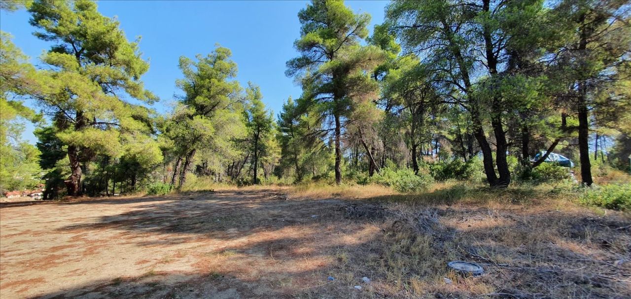 Grundstück in Kassandra, Griechenland, 5 200 m² - Foto 4