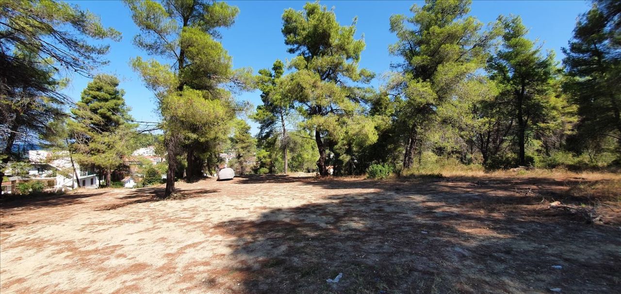 Grundstück in Kassandra, Griechenland, 5 200 m² - Foto 5