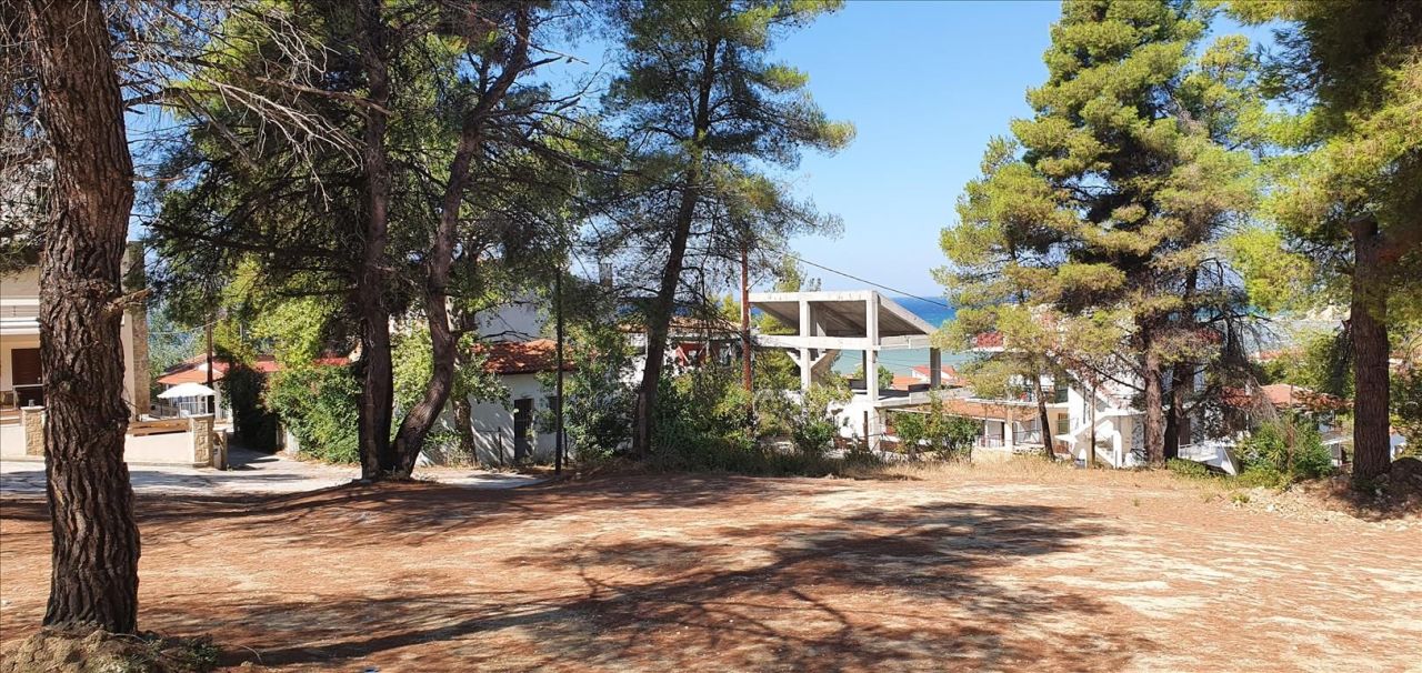 Grundstück in Kassandra, Griechenland, 5 200 m² - Foto 7