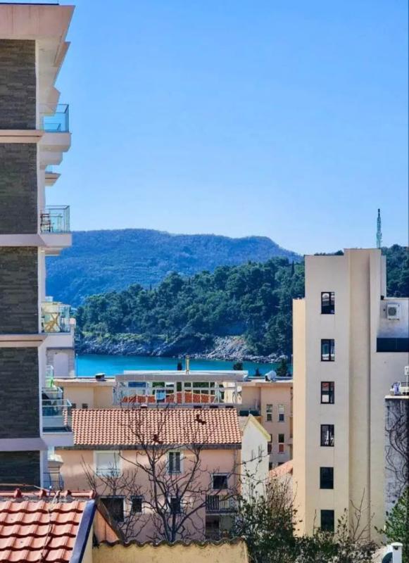 Flat in Becici, Montenegro, 46 m² - picture 2