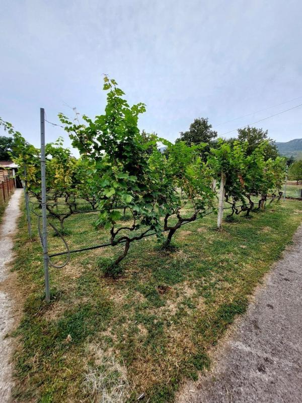 Casa a Podgorica, Montenegro, 100 m² - foto 5