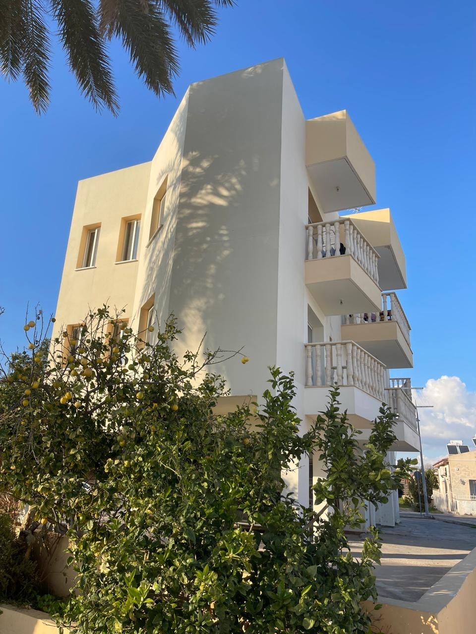 Biens commerciaux à Paphos, Chypre - image 4