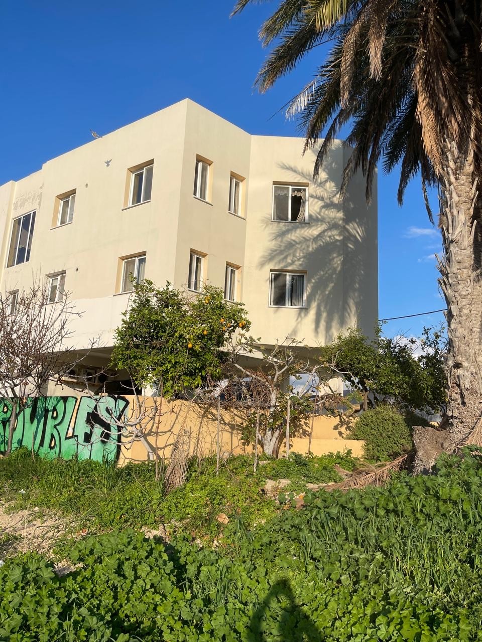 Biens commerciaux à Paphos, Chypre - image 5