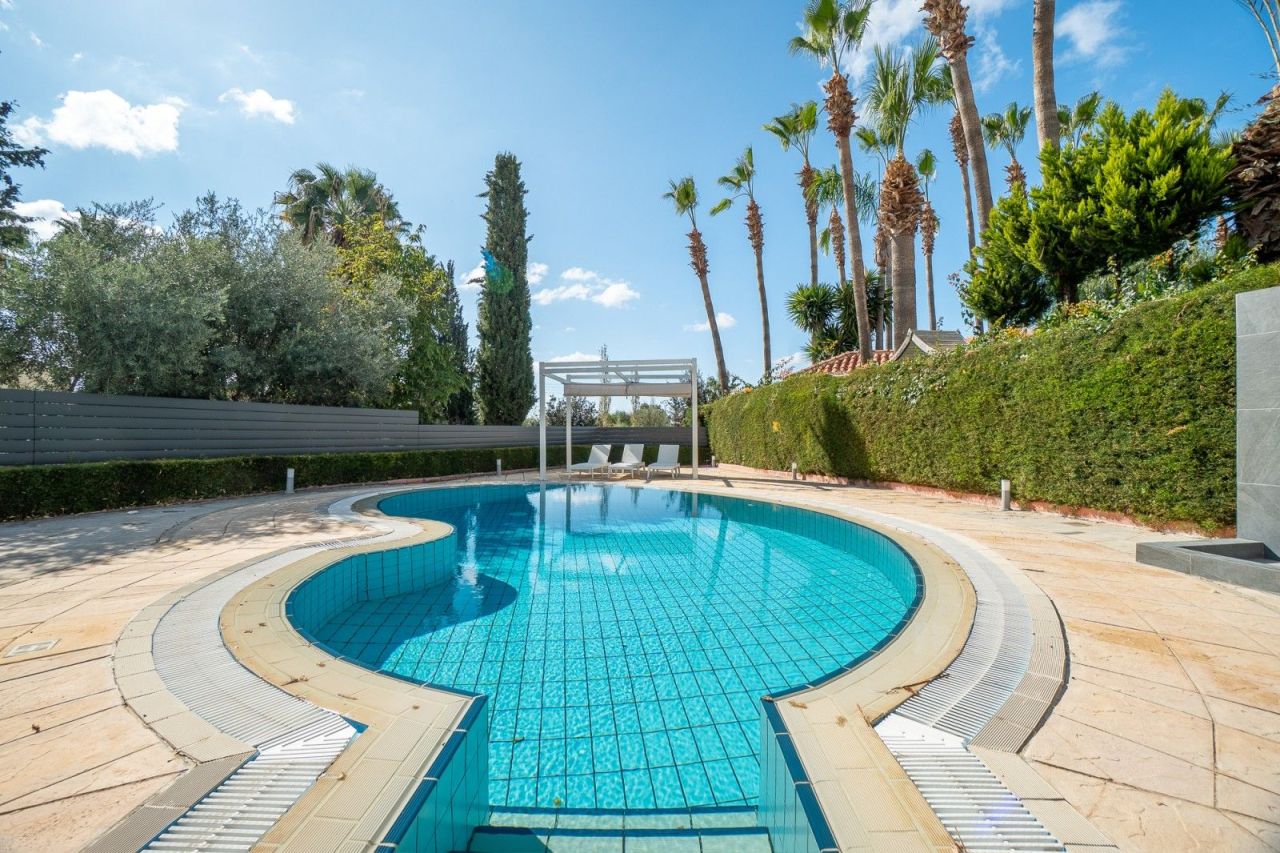 Villa in Paphos, Cyprus, 238 m² - picture 18