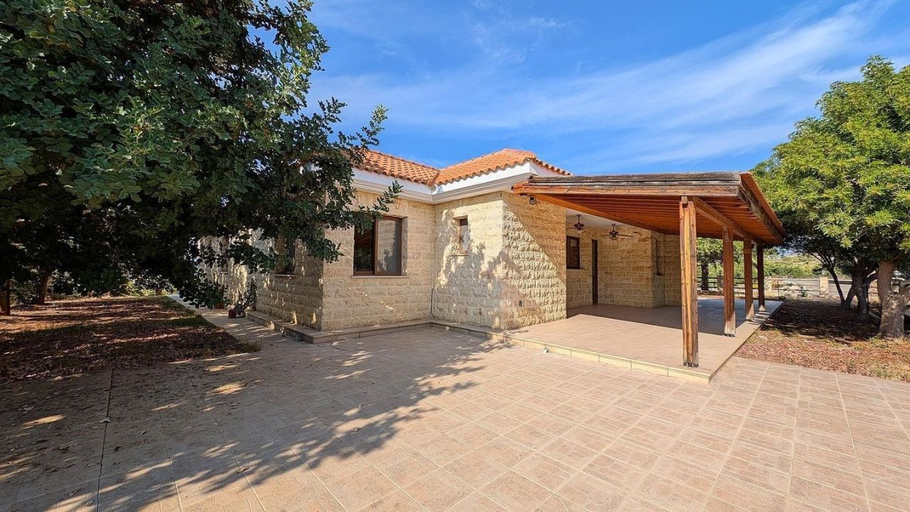Gewerbeimmobilien in Paphos, Zypern, 250 m² - Foto 18