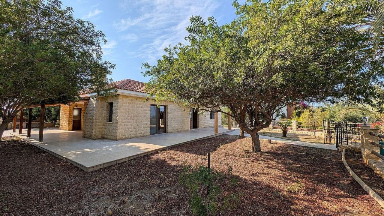 Gewerbeimmobilien in Paphos, Zypern, 250 m² - Foto 19