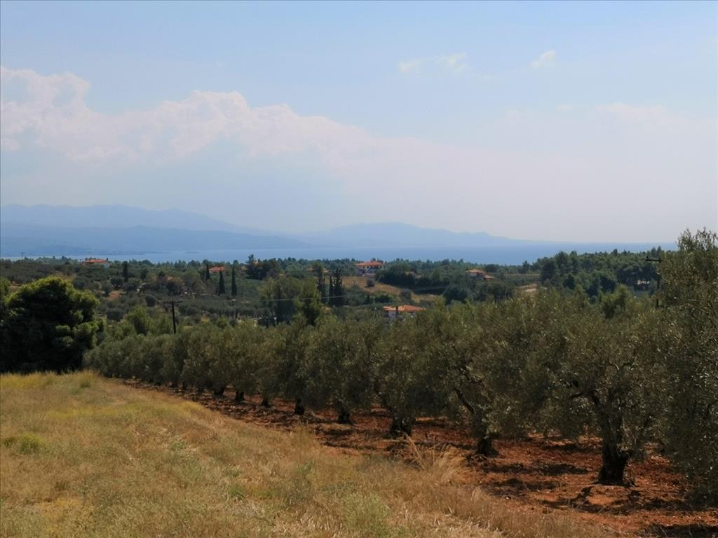 Terreno en Sitonia, Grecia, 15 120 m² - imagen 9