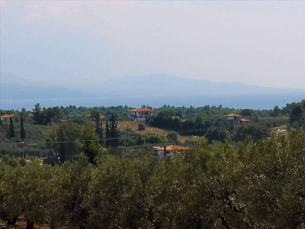 Terreno en Sitonia, Grecia, 15 120 m² - imagen 10