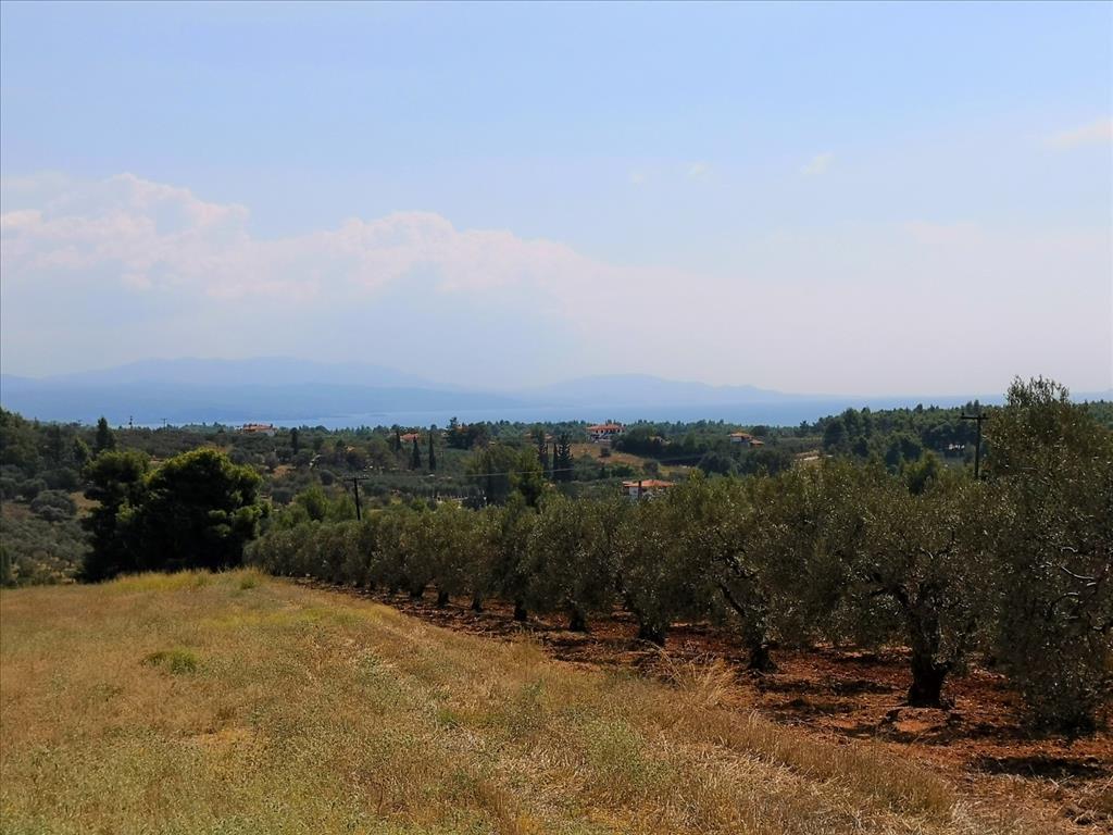 Terreno en Sitonia, Grecia, 15 120 m² - imagen 11