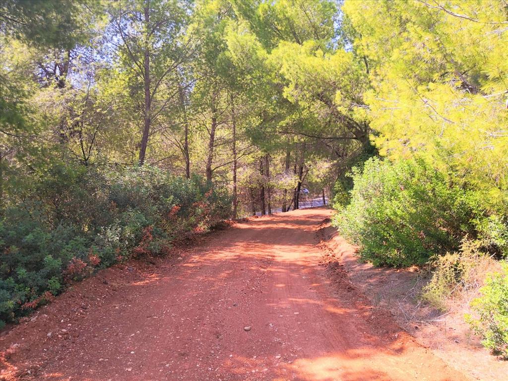 Terreno en Sitonia, Grecia, 15 120 m² - imagen 13