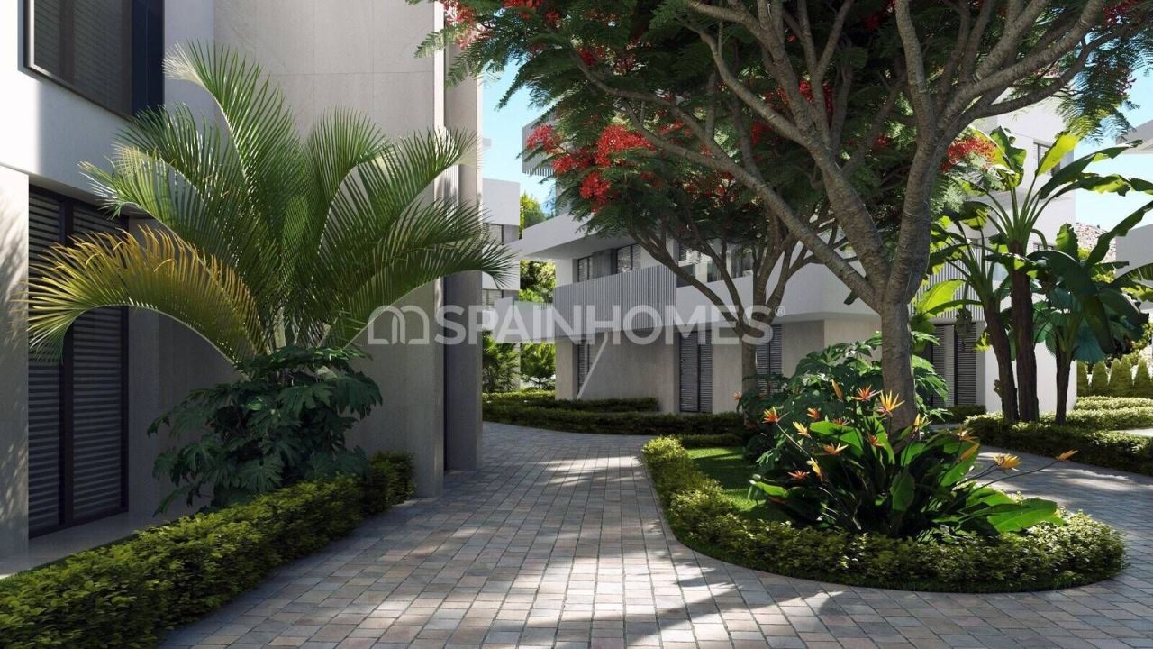 Apartment in Torre-Pacheco, Spain, 96 m² - picture 4