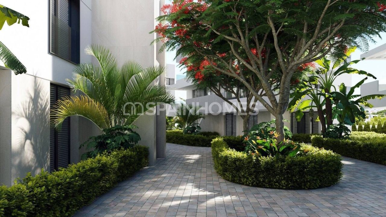 Attico a Torre-Pacheco, Spagna, 85 m² - foto 5