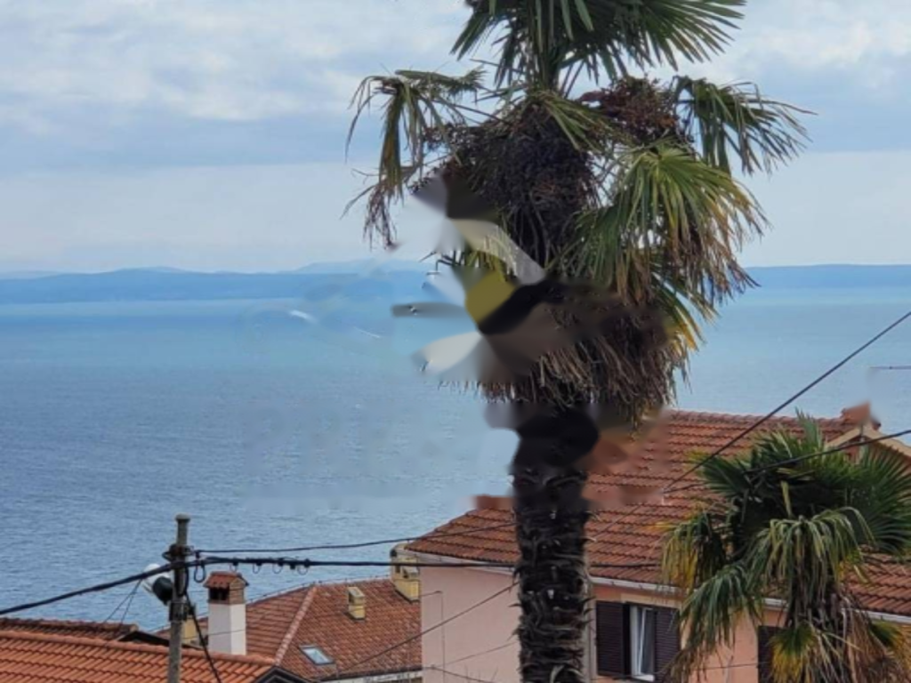 Maison à Opatija, Croatie, 120 m² - image 6