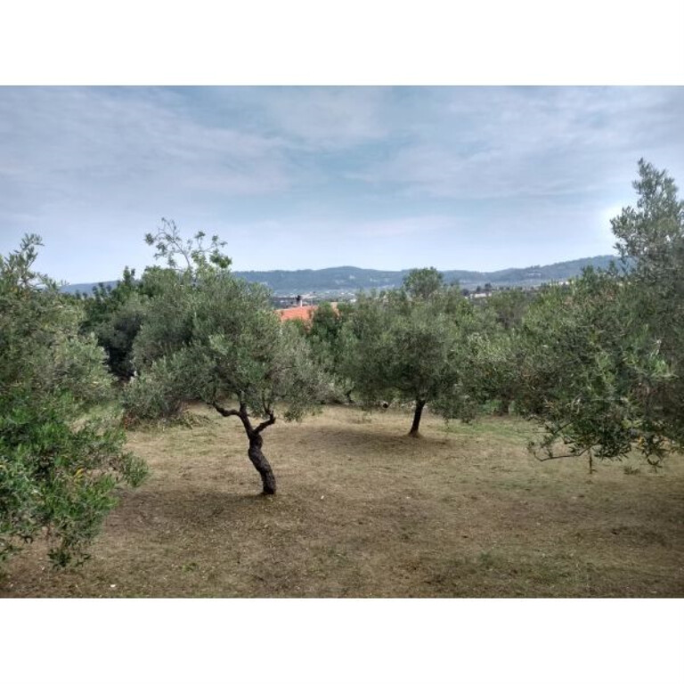 House in Kassandra, Greece, 75 m² - picture 7