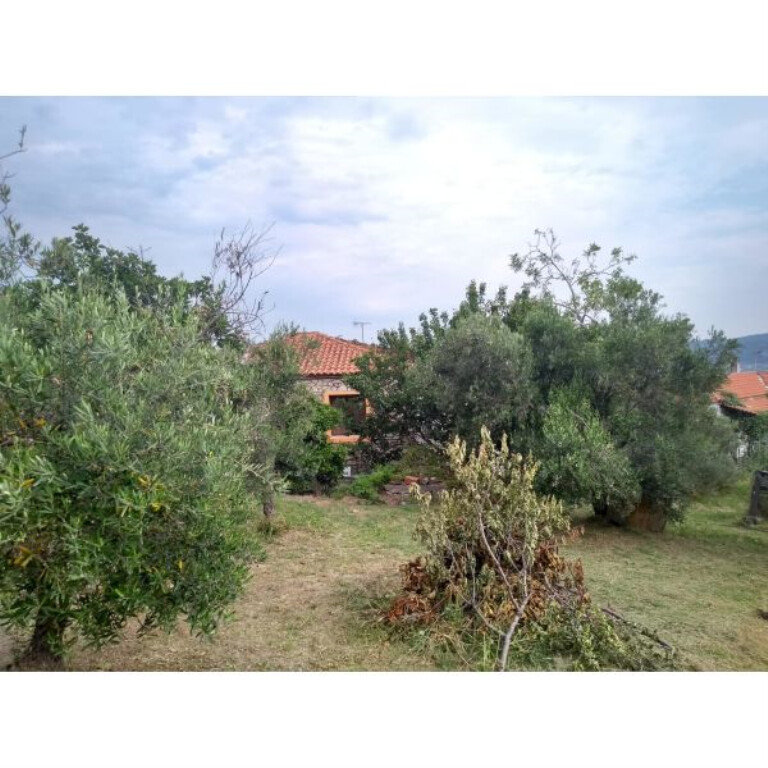 House in Kassandra, Greece, 75 m² - picture 9