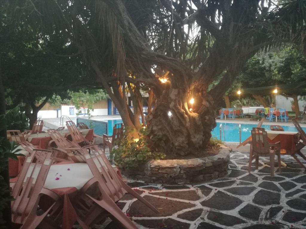 Hotel in Rhodos, Griechenland, 2 200 m² - Foto 12