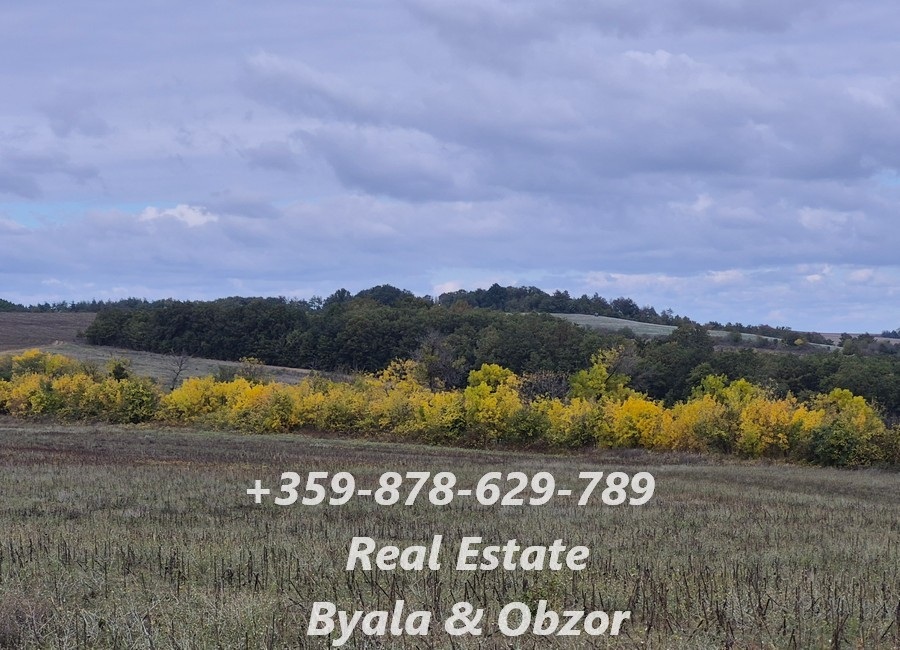 Land in Byala, Bulgaria, 9 550 m² - picture 3