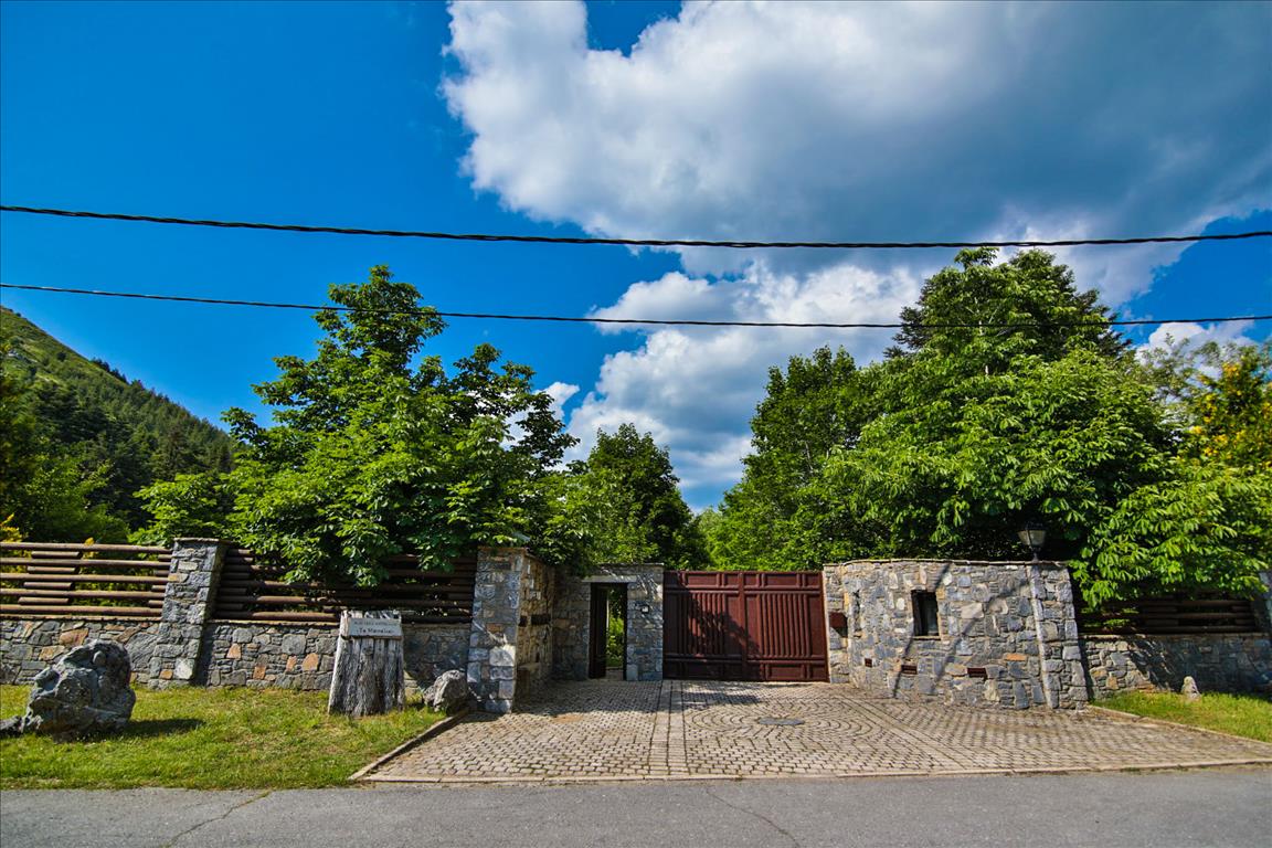 Hotel in Peloponnese, Greece, 1 341 m² - picture 6