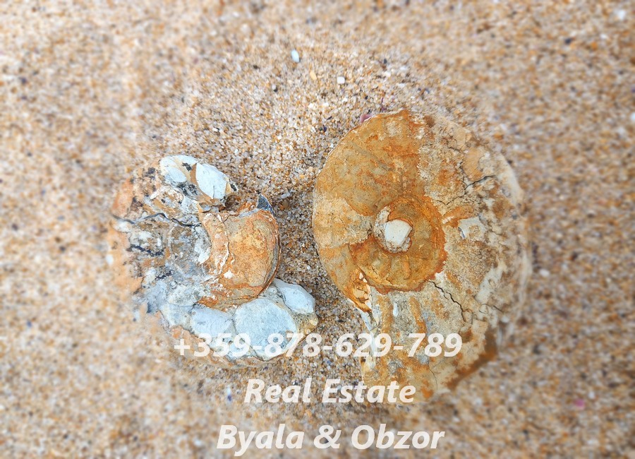 Appartement à Byala, Bulgarie, 33 m² - image 10