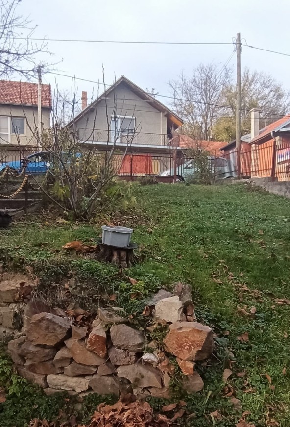 House in Novi Sad, Serbia, 110 m² - picture 2