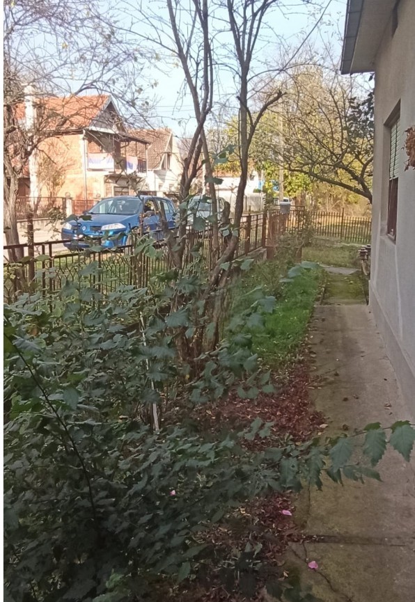 House in Novi Sad, Serbia, 110 m² - picture 3