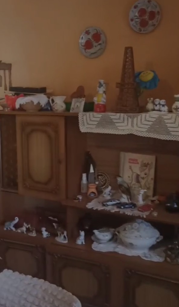 House in Novi Sad, Serbia, 110 m² - picture 5