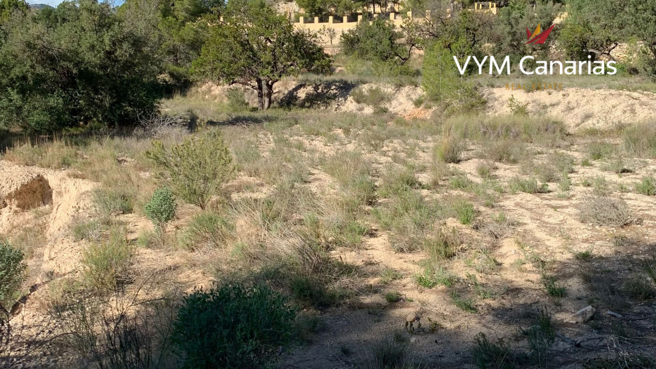 Land on Costa Blanca, Spain, 70 000 m² - picture 1