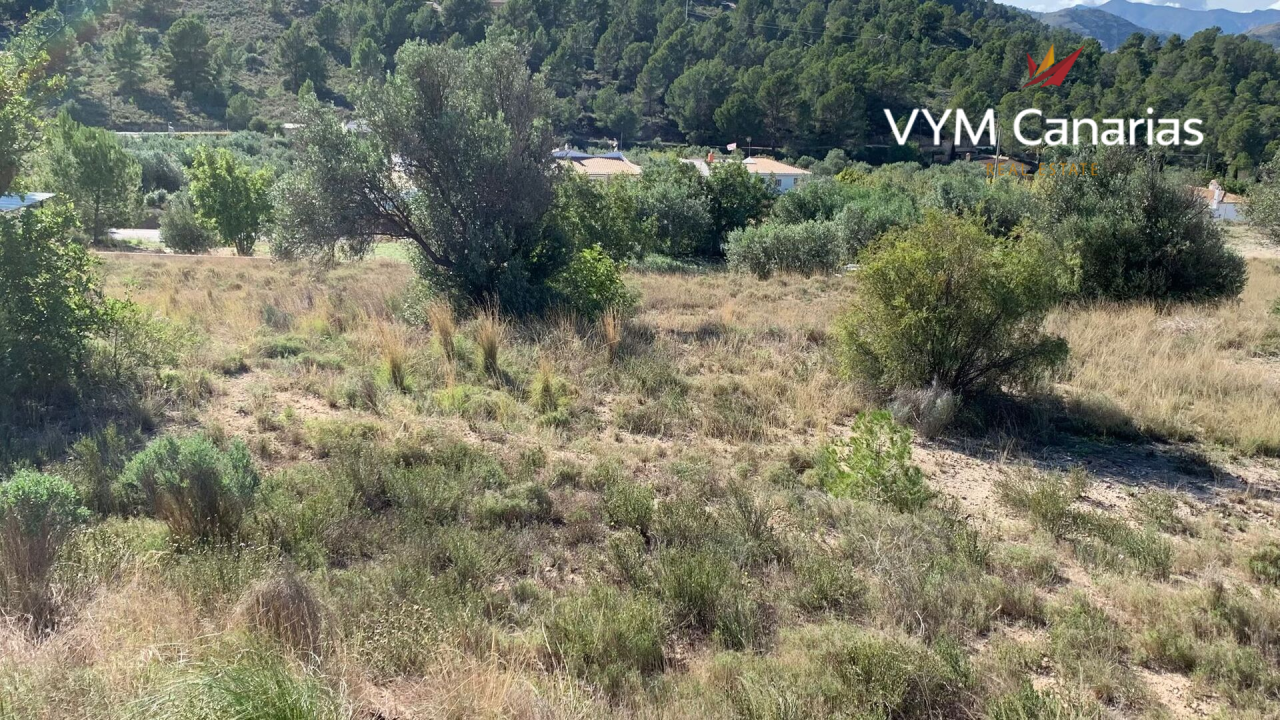 Land on Costa Blanca, Spain, 70 000 m² - picture 2